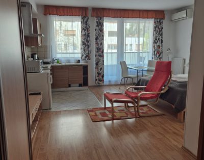 Corvin Residence studio