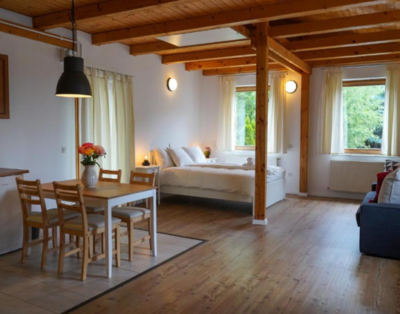 Budakeszi suburban big studio